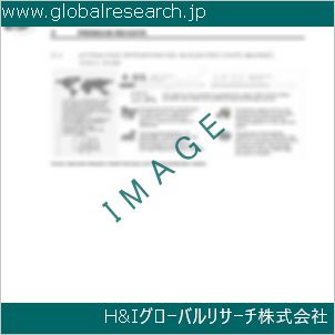 グローバルリサーチ調査資料のイメージ